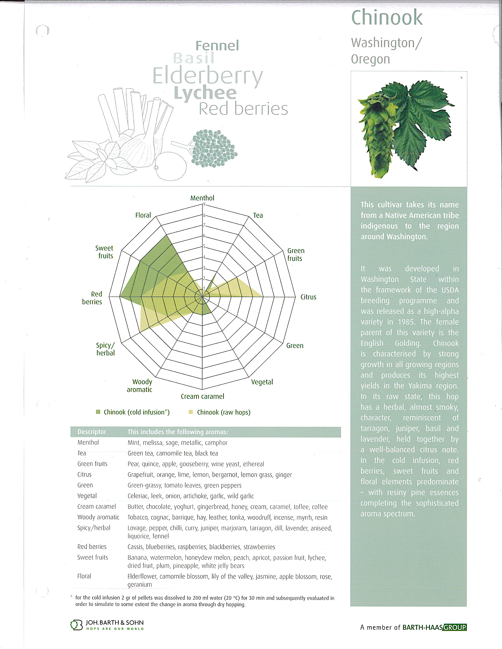 Hop Aroma Compendium